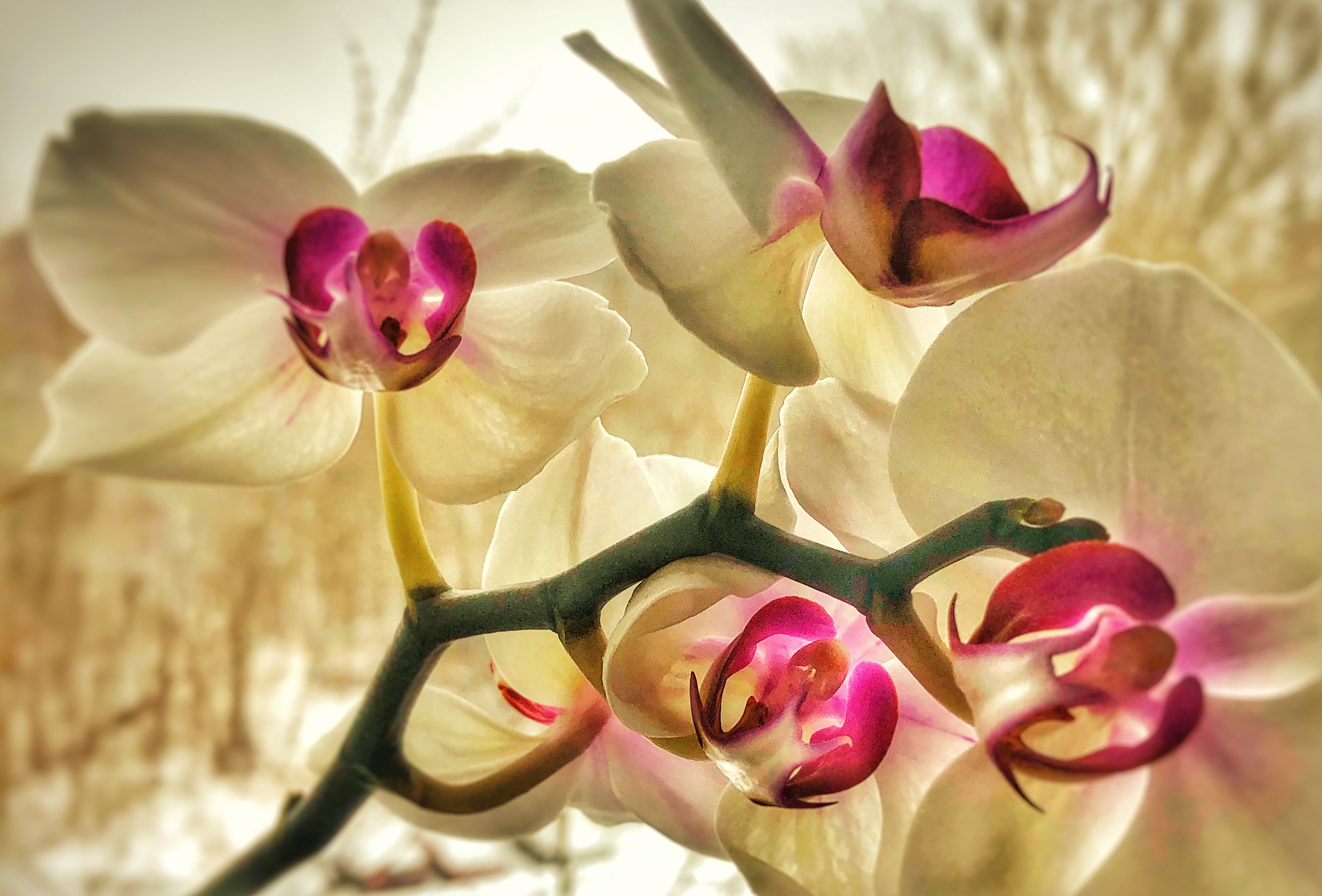 Vem är det som pratar?