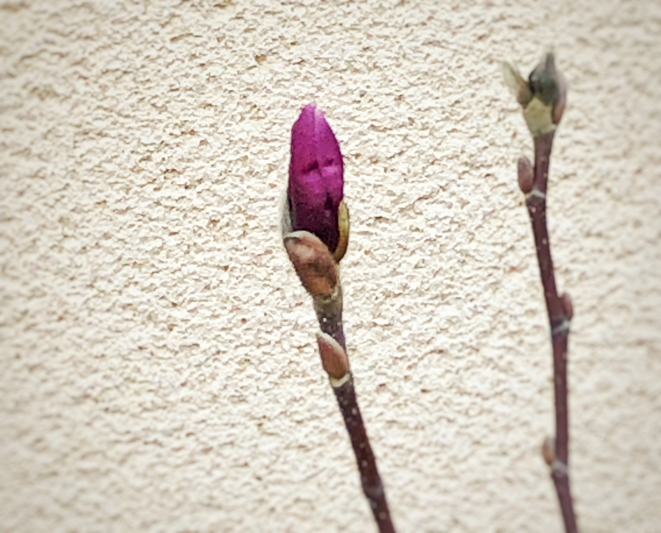 Vårens cykel – vakna upp och njut