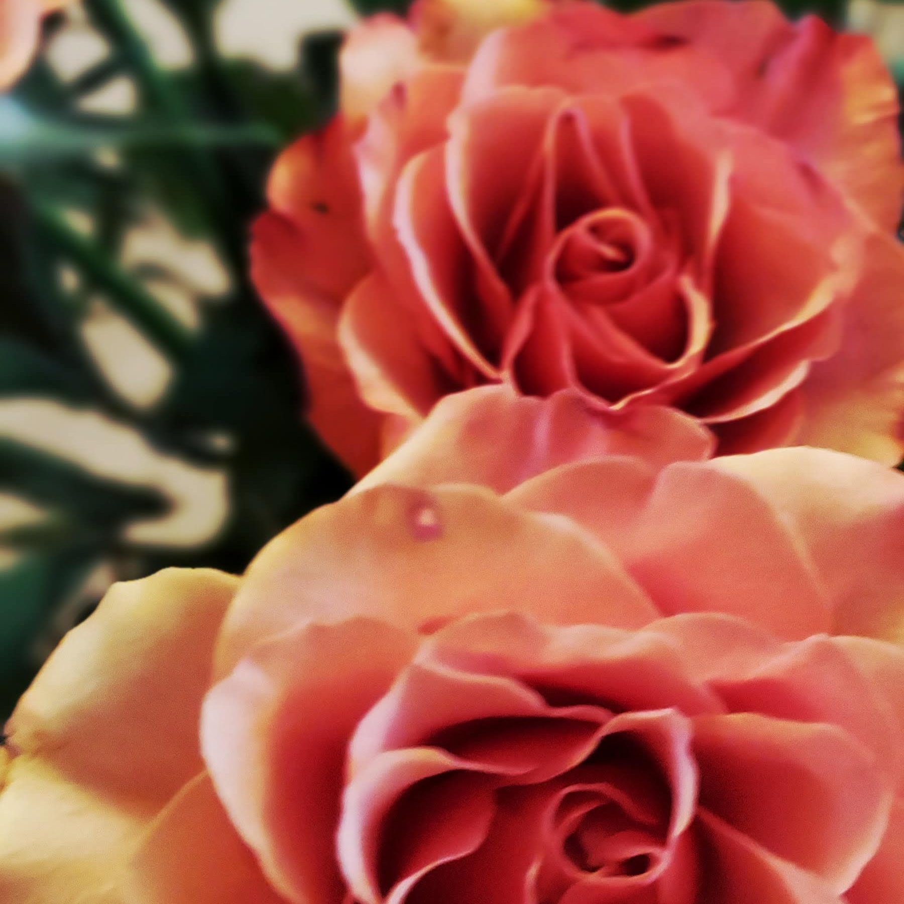 Steg 2: Skydda ditt space